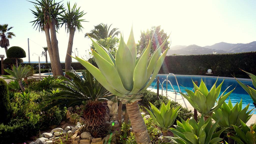Apartamentos Starnerja En Stella Maris Chambre photo