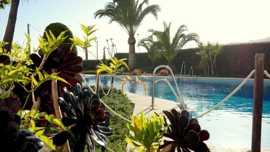 Apartamentos Starnerja En Stella Maris Chambre photo